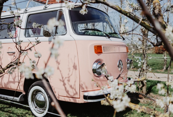 Nieuw: Roze Miss Peach Volkswagenbus Nieuw: Roze Miss Peach Volkswagenbus
